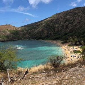 Meet your Posher, Riley